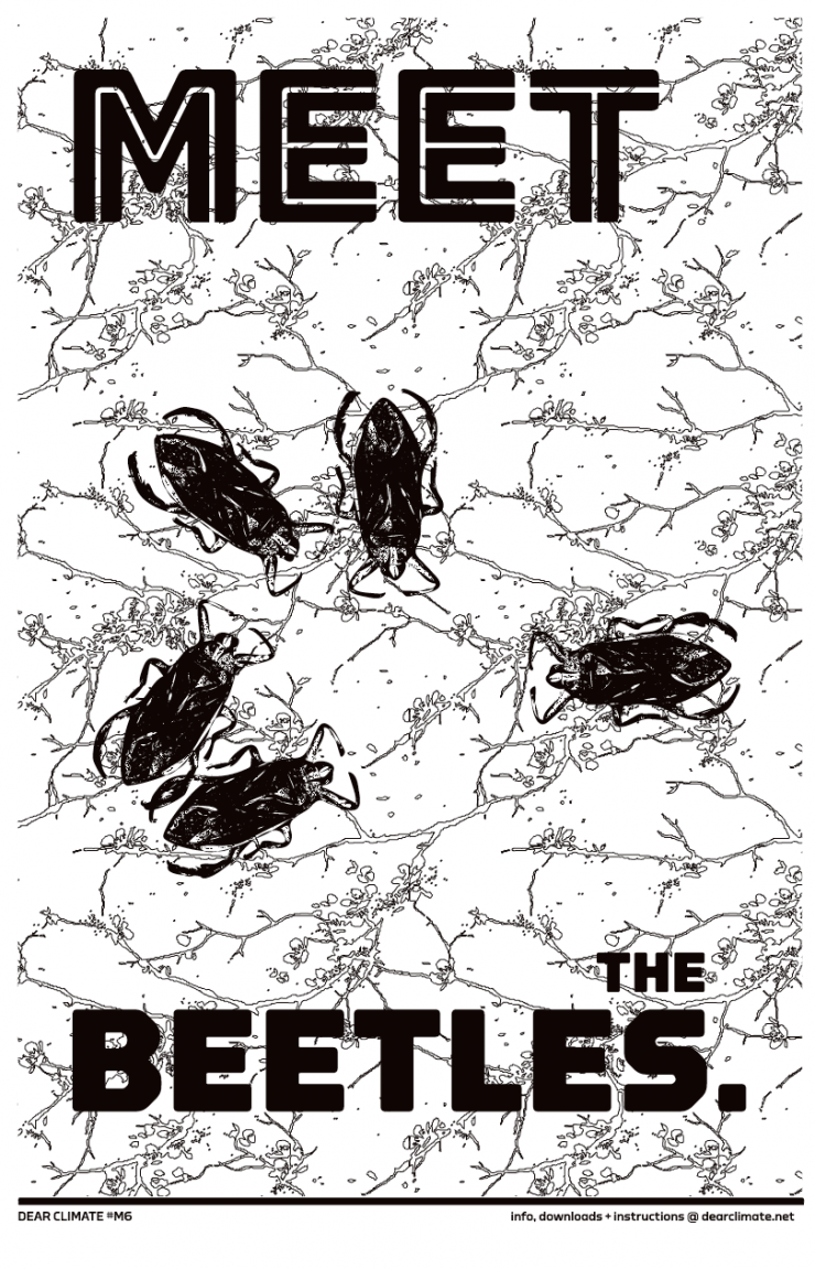 a poster with beetles 