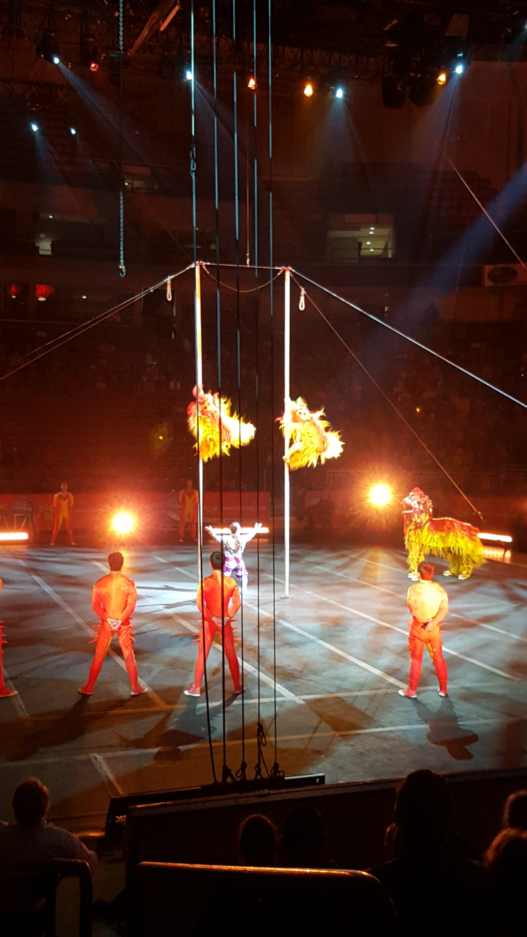 circus acrobats performing 