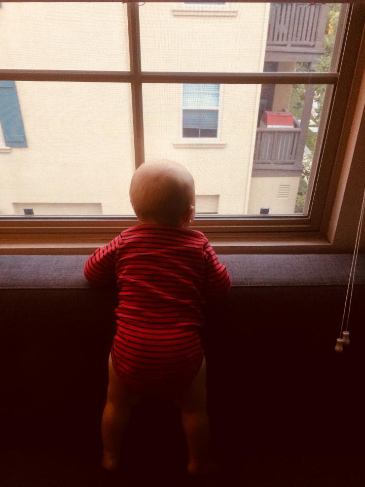 baby looking out of a window