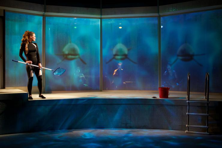projection of three orcas in a tank